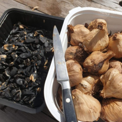 Sel ail noir de Limagne en situation table – Le Picnic Français
