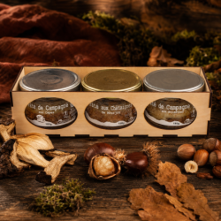 Coffret Pâtés Sous-Bois d'Automne en boîte bois – cèpes
