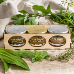 Coffret Pâtés Printemps Sauvage en boîte bois – ail des ours
